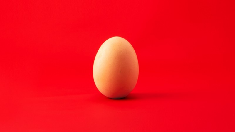 An egg in front of a red background