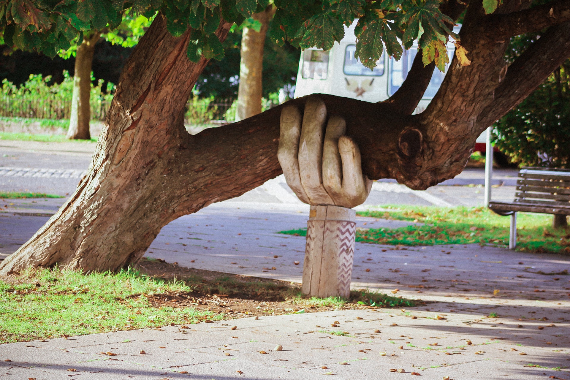 A hand structure below a tree