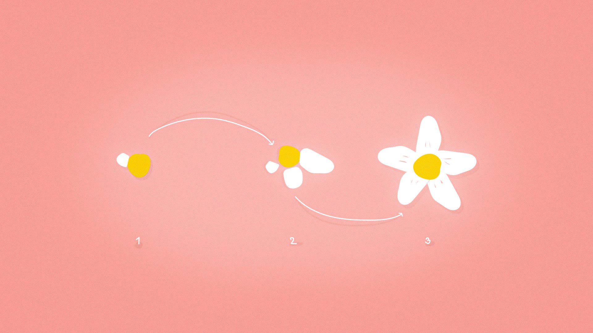 Illustration of a flower